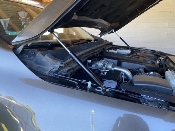 Cilindros de Capot Mercedes X250 - Imagen 3